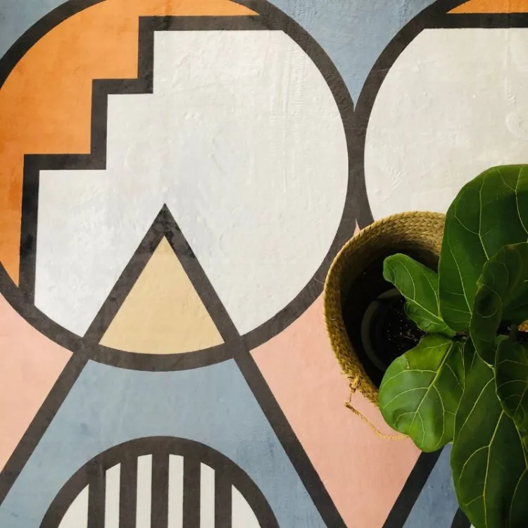 Picture of Ndebele Earth Printed Rug