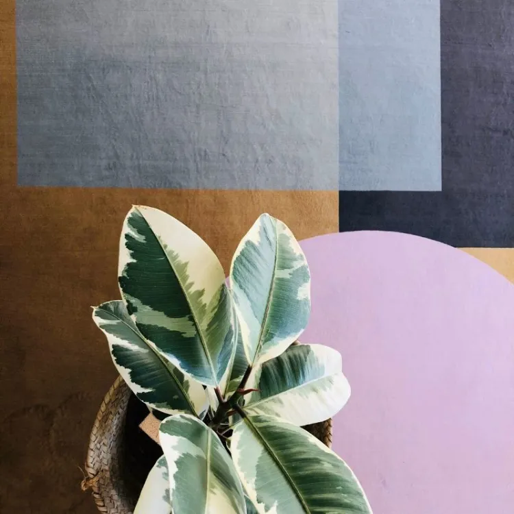 Picture of Bauhaus Blush Printed Rug