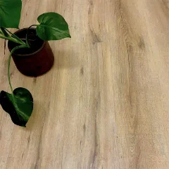 Musket vinyl plank flooring in warm grey-brown, with a potted plant trailing across one corner