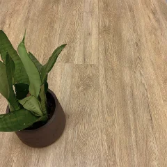 Desert Oak vinyl plank flooring seen from above with a potted plant in a dark pot