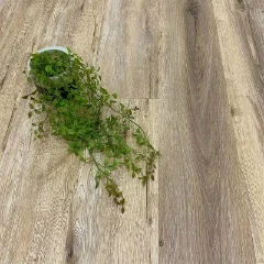 Carbine vinyl plank flooring in weathered grey-brown, with a trailing green plant across one corner