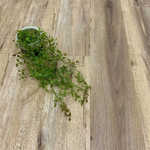 Carbine vinyl plank flooring in weathered grey-brown, with a trailing green plant across one corner