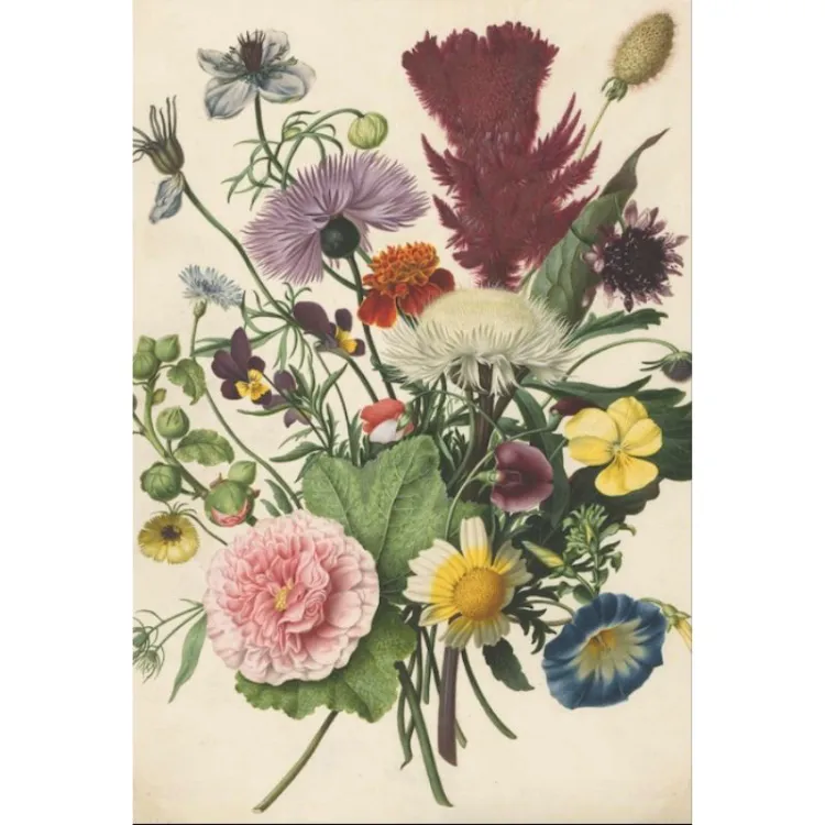 Picture of Spring Printed Rug
