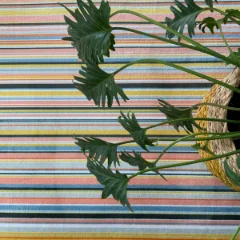 Picture of Candy Stripe Bliss Printed Rug