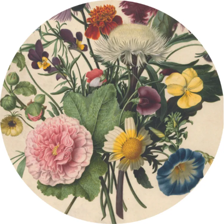 Picture of Spring Round Printed Rug