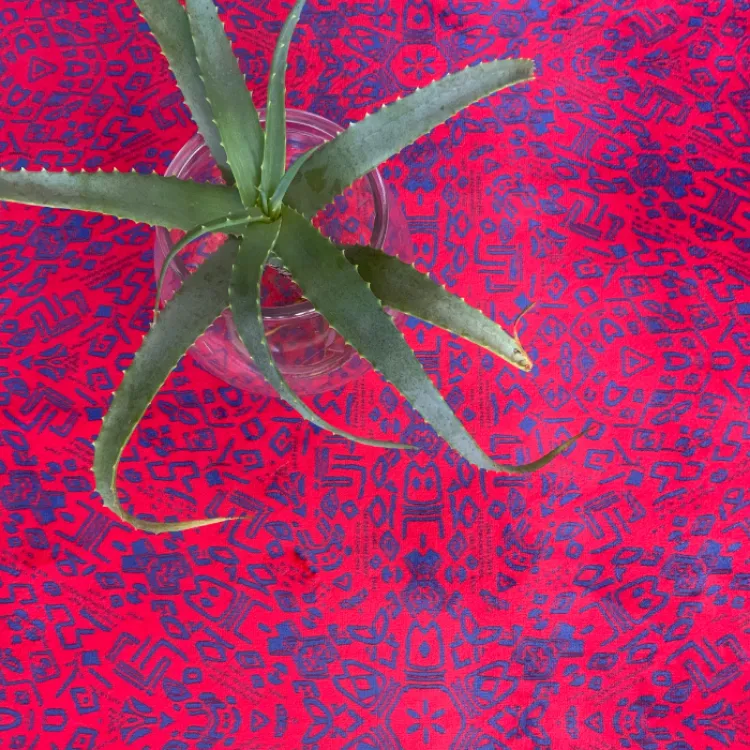 Picture of IMPRINT_ZA  | Red Printed Runner