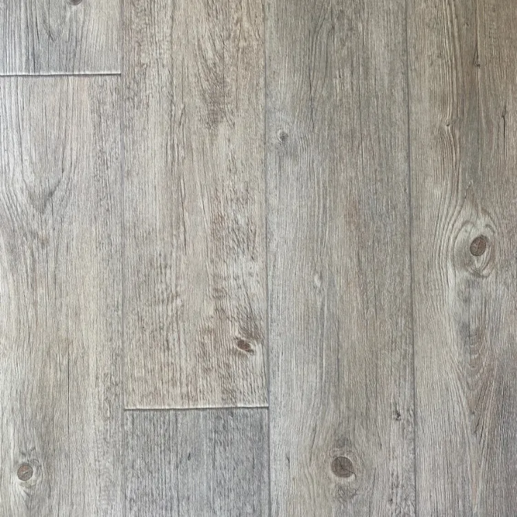 Picture of OASIS Sample