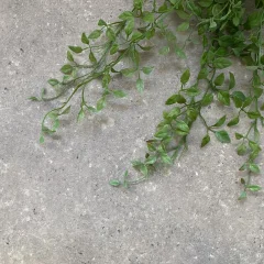 Close-up of Stonehaven grey concrete vinyl with trailing eucalyptus
