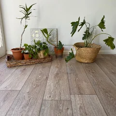 Knysna vinyl flooring with potted plants and a woven basket against a white wall
