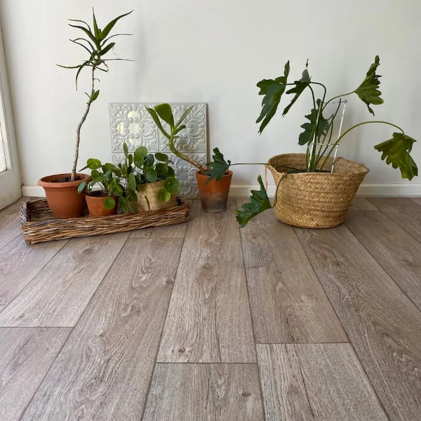 Knysna vinyl flooring with potted plants and a woven basket against a white wall