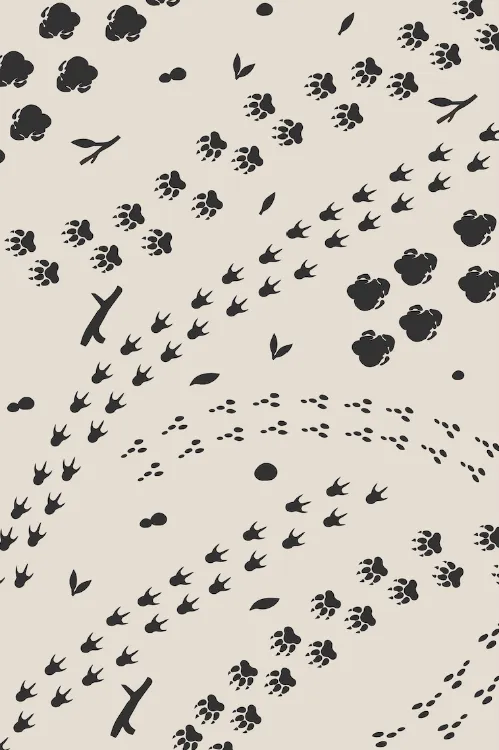 Picture of Footprints Mono | Zimema CTCA Printed Rug