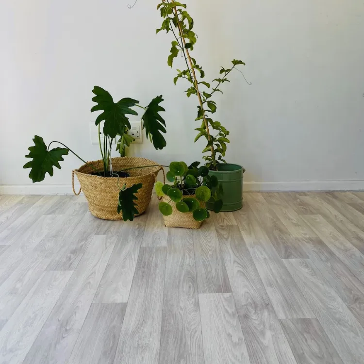 Picture of SPRING WOOD (VINYL ON A ROLL)