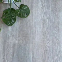 De Hoop vinyl plank flooring in cool grey, with a monstera leaf laid across one corner
