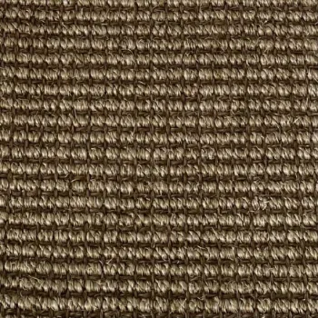 Picture of Olive Bark