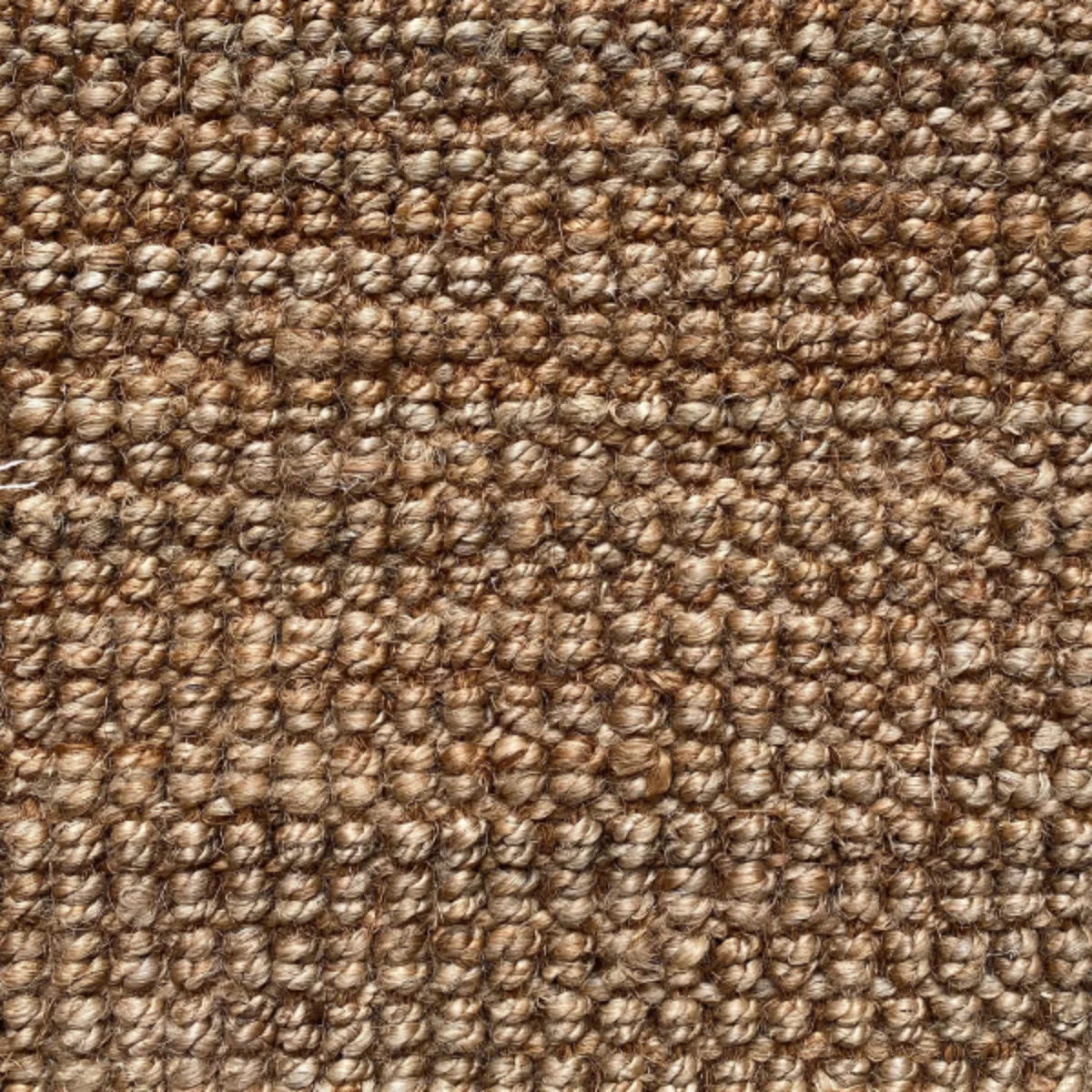 Picture of Jute Carpet