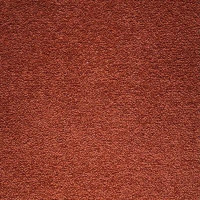 Picture of Westminster Perma