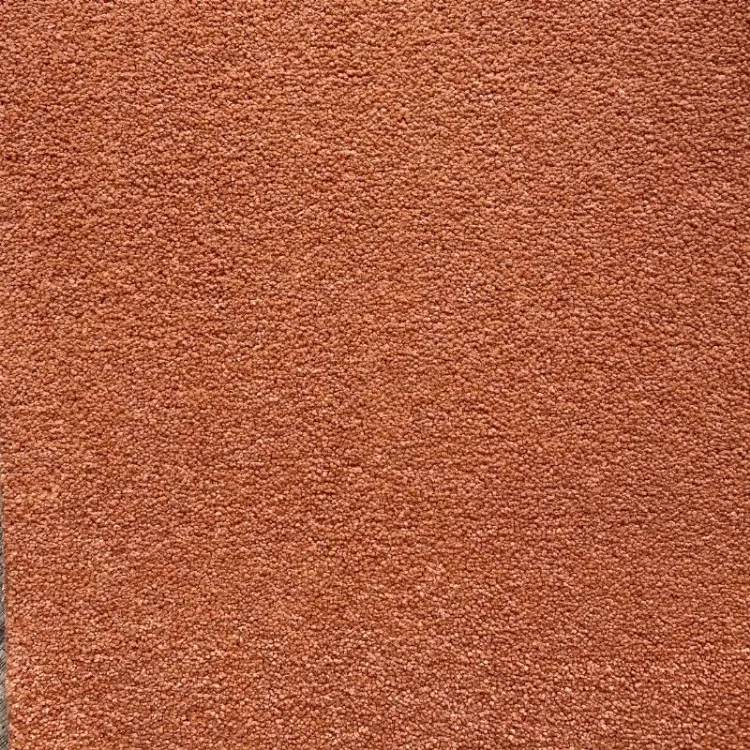Picture of Westminster Flutter