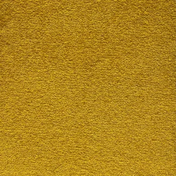 Picture of Westminster Neuro Sample