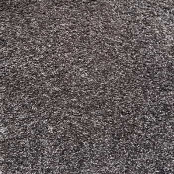 Picture of Soft 'n Silky Attic Sample