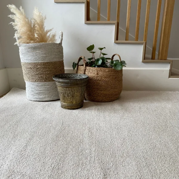 Picture of Soft & Silky Blanched Almond Rug 