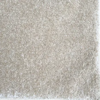 Picture of Blanched Almond