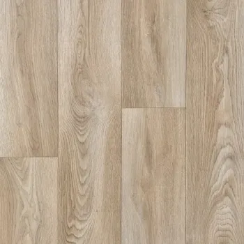 Picture of SOLACE Sample