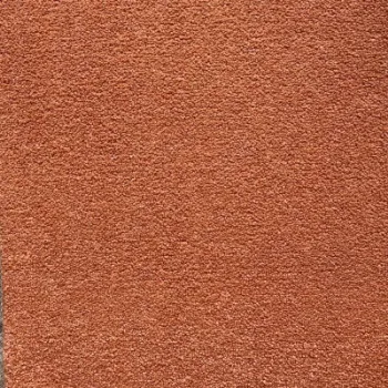 Picture of Westminster Flutter Sample