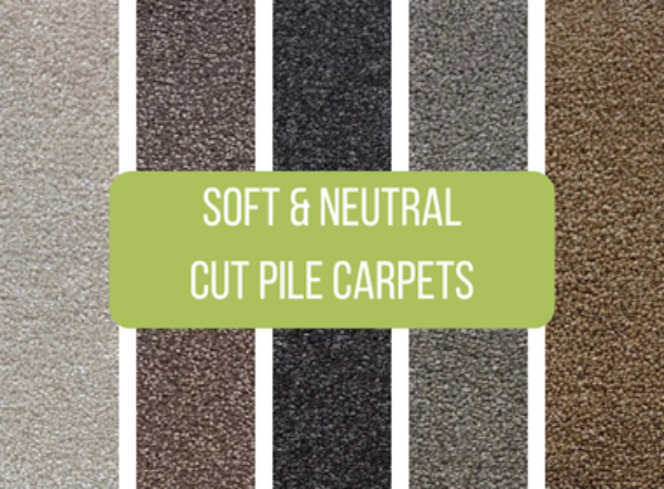 Picture for category Soft & Neutral Cut Pile