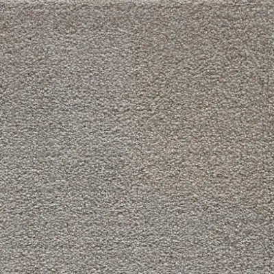 Picture of Downy Tactual Carpet