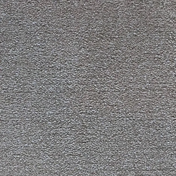 Picture of Snuggly Tactual Carpet