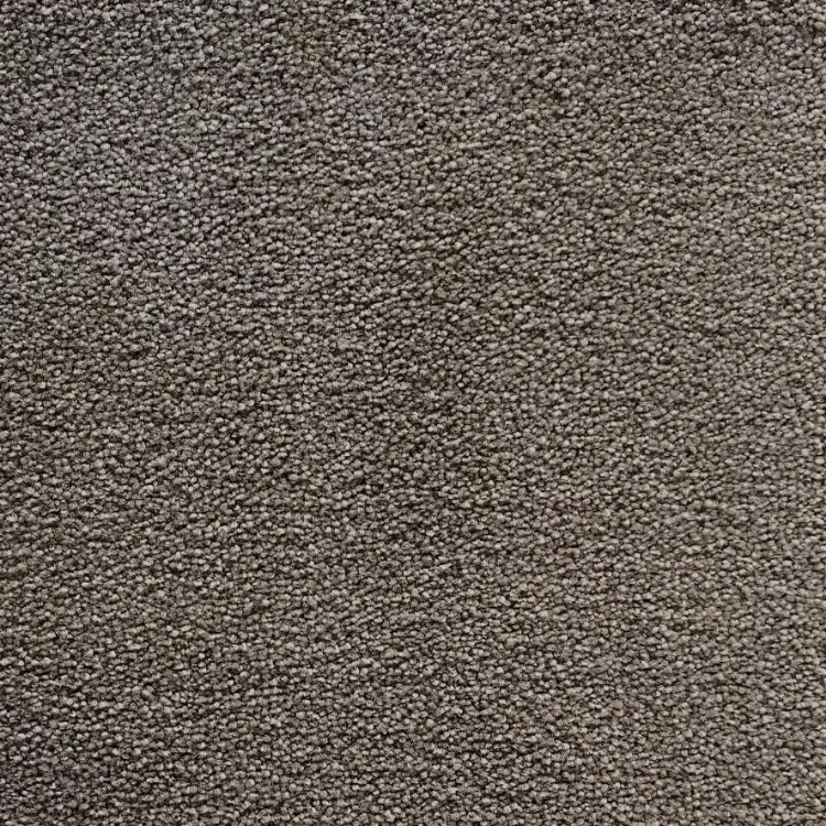 Picture of Muffled Aural Carpet