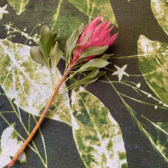 Picture of BeLeaves Printed Rug
