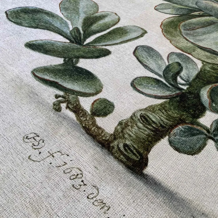 Picture of Succulent | Vintage Printed Rug