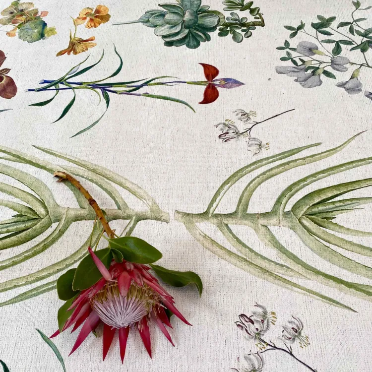 Picture of Botanica Printed Rug