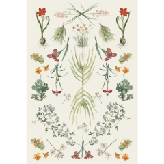 Picture of Botanica Printed Rug