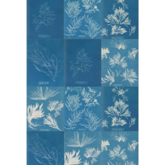 Picture of Cyanotype Collage Printed Rug 