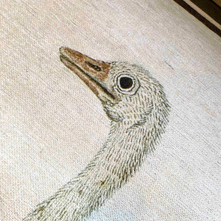 Picture of Ostrich | Vintage Printed Rug