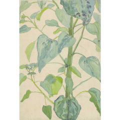 Picture of Sunflower Watercolour Printed Rug