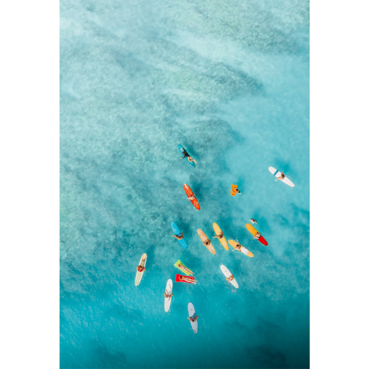 Picture of Surfs Up Printed Rug
