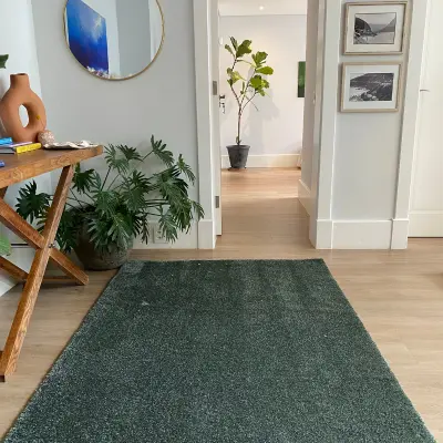 Picture of 1.60 x 2.35 Soft & Silky Sage Green Factory Shop Rug