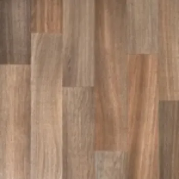 Picture of CECILIA Sample