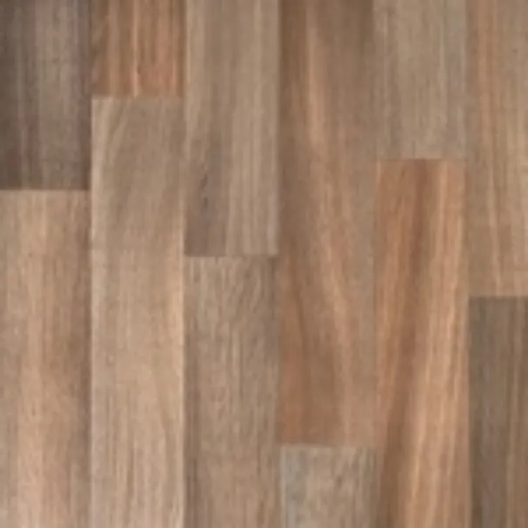 Picture of CECILIA Sample