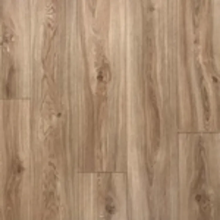 Picture of EMBER Sample