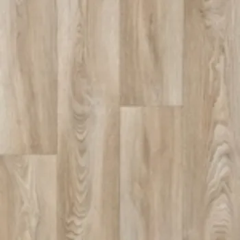 Picture of SOLACE Sample