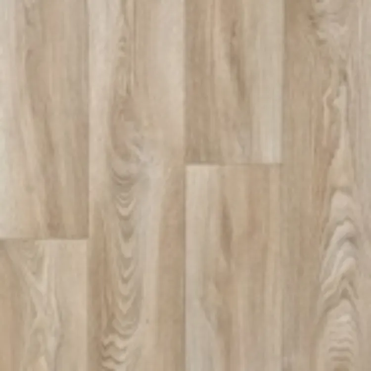 Picture of SOLACE Sample