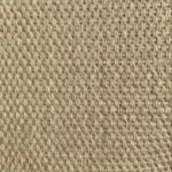 Picture of Artichoke Sample