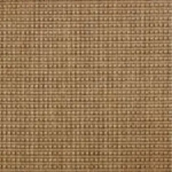 Picture of Panama Corn Sample