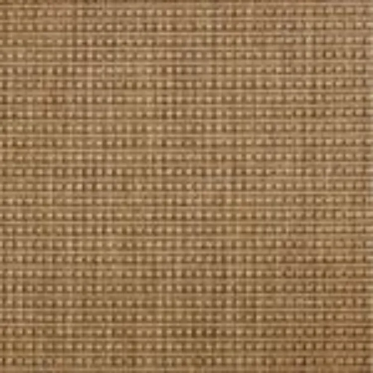 Picture of Panama Corn Sample