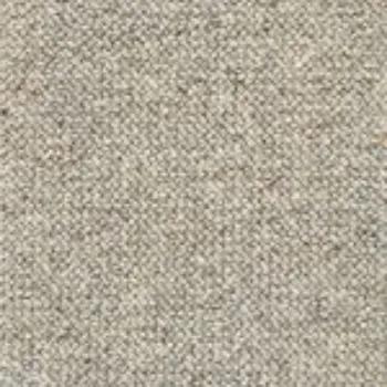 Picture of Rustique Claydust Sample