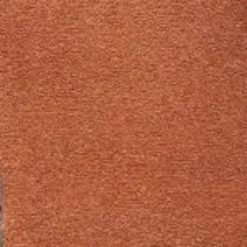 Picture of Westminster Flutter Sample